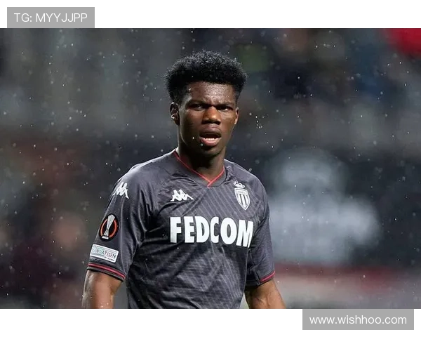 楚阿梅尼中场屏障作用 楚阿梅尼中场屏障作用