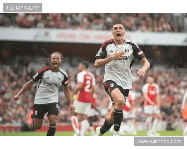 帕利尼亚英超单赛季抢断领跑解析